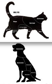 A Petting Chart For Cats And Dogs Imgur