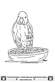 And there are famous have your kid add color to this beautiful cockatiel. Parrot Pictures For Kids Coloring Home