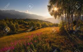 Maybe you would like to learn more about one of these? Beautiful Summer Season Landscape With Bright Sun Shining Through The Trees Stock Photo Picture And Royalty Free Image Image 138555163