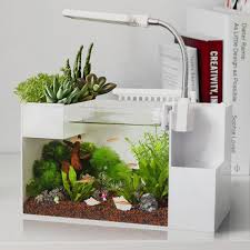 Creative Ecologies Amphibious Tank Aquarium Landscaping Acrylic Aquarium Aquaponics Small Plastic Free Change In Aquaponics Fish Indoor Aquaponics Aquaponics
