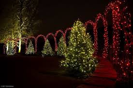 Pathway W Lighted Arches Christmas Festivities Longwood Gardens Kennett Pa 2011 Christmas In America Christmas Lights Outdoor Holidays
