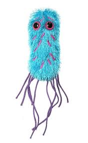 The bacteria takes advantage of an individual's weakened immune system to create an infection and this organism also produces. Pseudomonas Aeruginosa Pseudomonas Aeruginosa Plush Microbes Giant Microbes