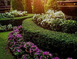 Check spelling or type a new query. Landscapers Sarasota Fl Lawn Service Water Falls