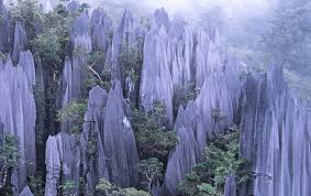 5 Taman Negara Di Malaysia Best Penginapan Popular