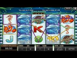 Dolphin Reep Scr888 Kiss918 Bet 5 Youtube Free Casino Slot Games Play Free Slots Free Slot Games