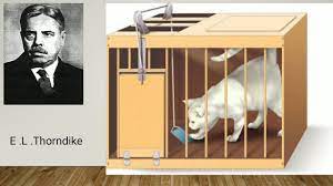 We did not find results for: Thorndike Puzzle Box Experiment Youtube