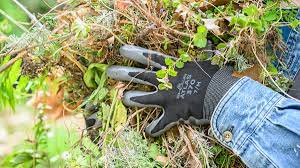 Garden supply depot genie gloves. The Best Gardening Gloves Of 2021 Reviewed