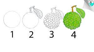Download custard apples images and photos. How To Draw A Custard Apple Very Easy Youtube