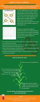 Three sisters planting is a great example of companion planting and maximizes the use of space and symbiotic relationships between certain plants. Facebook
