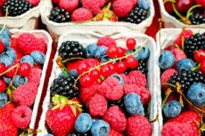 Subiectul alimentelor pe care putem sa le mancam in timp ce alaptam este indelung dezbatut si pe internet veti gasi multe articole cu tot felul de liste de alimente. Fructe È™i Fructe De PÄƒdure In Timpul AlÄƒptÄƒrii Competent Despre SÄƒnÄƒtate Pe Ilive