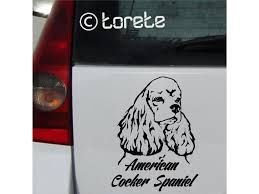 Image result for americký kokršpaněl