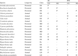 Image result for Hyparrhenia rudis