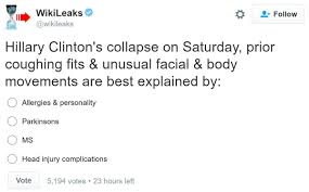 There's very little room for messing up: Wikileaks Just Tried To Justify Its Behavior This Year In A Bizarre Election Day Statement Vox