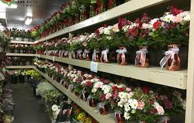 Hours may change under current circumstances Contact Us Steve S Flowers Blog
