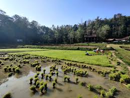 68 Reviews for Vayal Veedu in Muthanga, Wayanad - Justdial