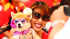 Play and do art at Windward Community College's 7th Annual Paliku Arts  Festival