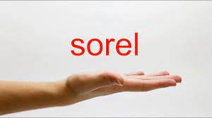 Sorel is a subsidiary of columbia sportswear based in portland, oregon that manufactures and distributes shoes. How To Pronounce Sorel American English Youtube