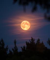 The july full moon, commonly nicknamed the buck moon and also known as the thunder moon, will be shining in the night sky this weekend. What Does The Full Blood Moon Lunar Eclipse Mean