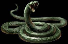 Pin By Joshua Gaetano On D D Recaps Snake Monster Animals Snake