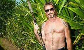 In 2002, john and judy mcafee divorced. John Mcafee Bad People Are Still After Me Internet The Guardian