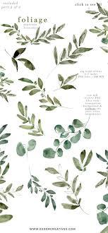 Greenery clip art, tropical clipart, wedding clip art, jungle plants. Watercolor Eucalyptus Clipart Foliage Greenery Clipart Etsy Leaf Clipart Wedding Clipart Clip Art