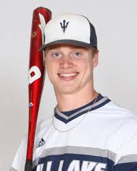 Meet the 2019 Battle Creek Enquirer All-Area Baseball Team