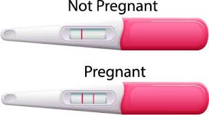 If you think you might be pregnant and don't know what to do next, we can help. Free Services At Alliance For Life Pregnancy Center In Tucson Arizona