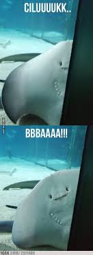 Ya, diunggah oleh salah satu akun youtube, cerita tentang manusia yang dikutuk sebagai ikan pari ini sempat viral dan banyak diperbincangkan. Peek A Boo 1cak For Fun Only