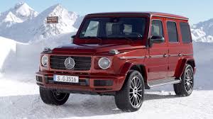 Image result for Hyacinth Red 2016 G