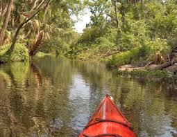 Check spelling or type a new query. Seminole State Forest State Forests Our Forests Forest Wildfire Home Florida Department Of Agriculture Consumer Services