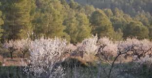 La langue, qui est normalement lisse et rose, peut parfois se couvrir, sur sa face supérieure, d'un enduit blanchâtre. Decouvrir L Agriculture Regeneratrice Ii Crowdfarming Blog