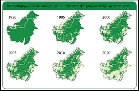 Perkembangan Pohon Di Hutan Kalimantan Osnipa