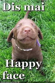 Since the 1950s it has become part of popular culture worldwide, used either as a standalone ideogram, or as a form of communication, such as emoticons. Happy Face Funny Dog Meme Cute Puppy Pictures Cute Animals Cute Dogs