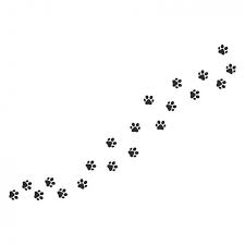 Black And White Paw Print Icon Pin On Png