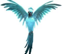 Birds Of A Feather Song Rio Jewel From Rio The Movie Photo Jewel Rio Movie Cute Cartoon Wallpapers Blue Sky Studios