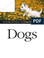 We did not find results for: Different Breed Of Dogs Terriers Dogs