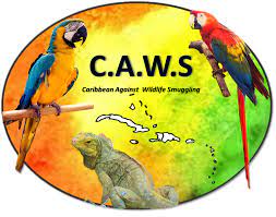 Buy cheap marmoset monkeys, and other exotic pets from a usda license breeder in usa very cheap and afforadable contact. Working To Save And Protect What S Ours That S Our Caws Birdscaribbean