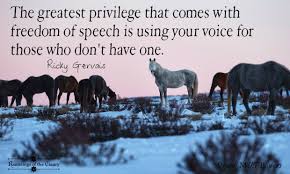 Use Your Voice Mustang Horse Brumby Horse Horses