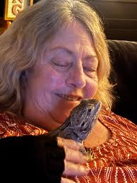 Why is my bearded dragon's head color changing?