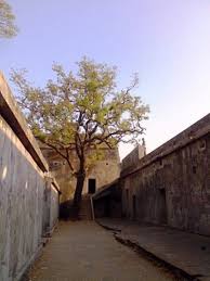 Sewri Fort, South-Mumbai, Mumbai