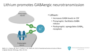 Check spelling or type a new query. Lithium S Mechanism Of Action An Illustrated Review Psychopharmacology Institute