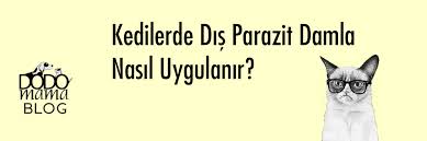 Kedi Dis Parazit Damlasi Nasil Kullanilir