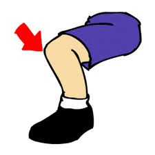 Knee – đầu gối