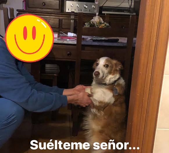 images?q=tbn:ANd9GcTxuQpdCtX5gDEzFkenBKZ