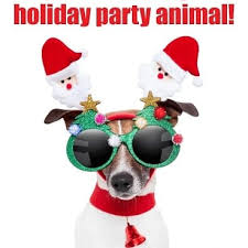 What is the zip code for phoenix, az? Sugarloaf Animal Clinic 13801 N Cave Creek Rd 85022 Phoenix Az Us Arizona Reviews Directory