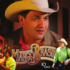 Franguinho Na Panela