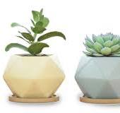 3.5" Assorted Mini Hexagon Pot with Bamboo Saucer - Case of 24