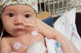 Fundraiser by Stormy Arnold : Remy Shabanaj