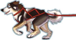 Pin By Morgan Aasgaard On Artsy Husky Animation Paw