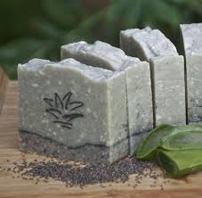Aloe Vera Soap Aloe Vera Chia Seeds Soap Complexion Soap Exfoliating Goat Milk Chia Seeds Aloe Vera